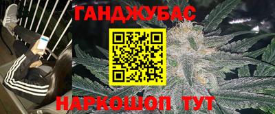 стаф Новокубанск