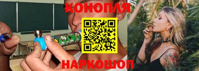 стаф Новокубанск