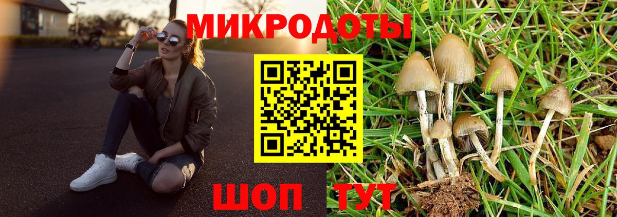Псилоцибиновые грибы мухоморы Пыть-Ях