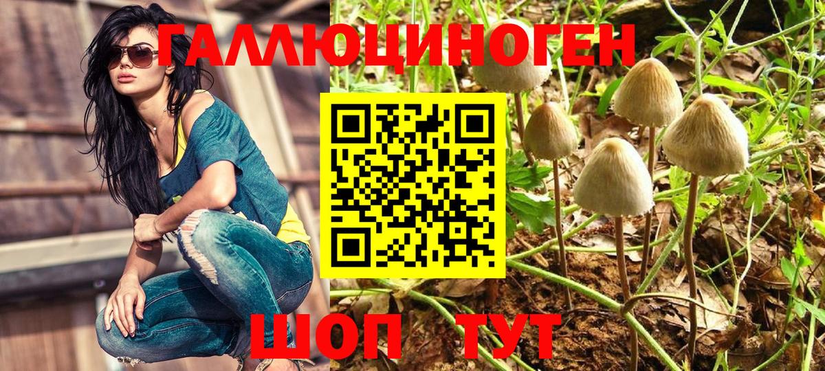 Пыть-Ях  Галлюциногенные грибы Cubensis  Вход с VPN 